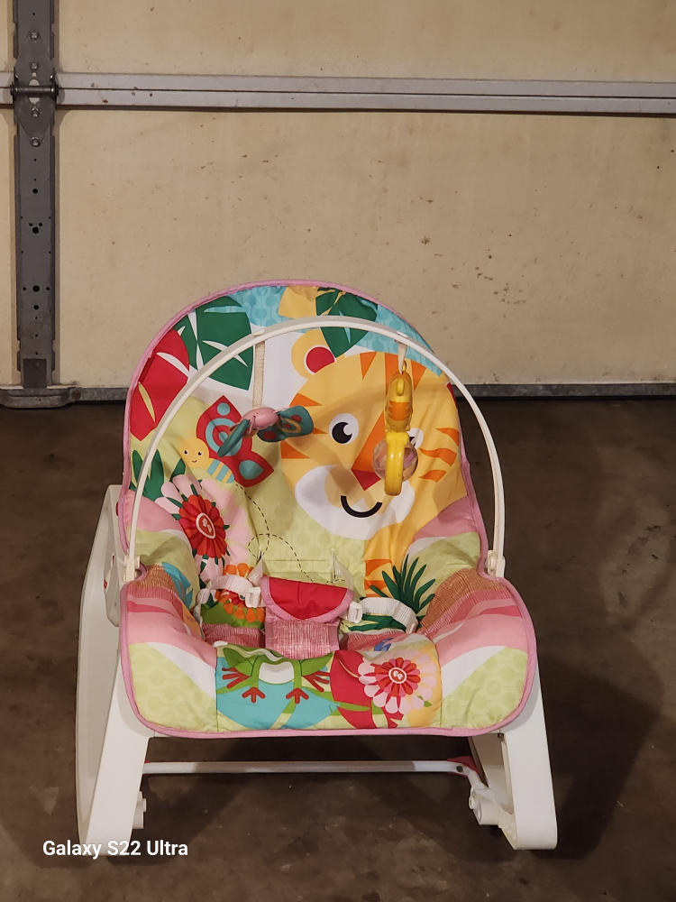 Fisher-Price Infant-To-Toddler Rocker