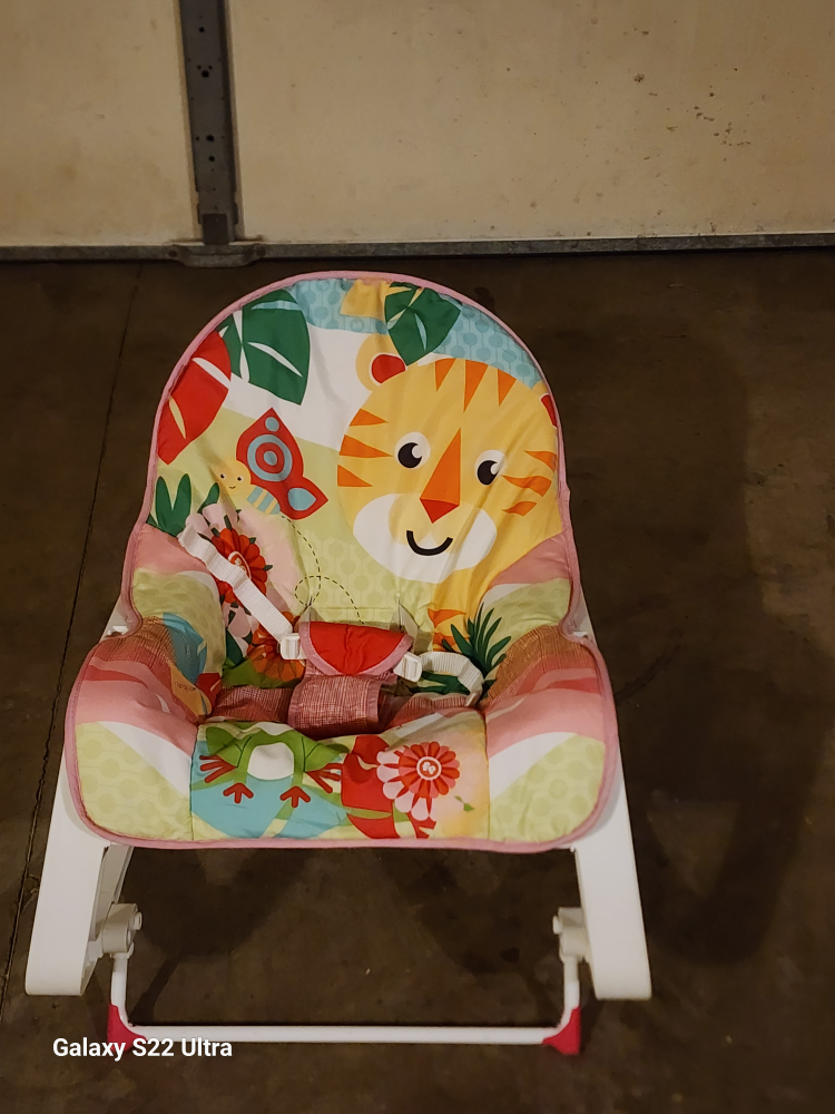 Fisher-Price Infant-To-Toddler Rocker - photo 4
