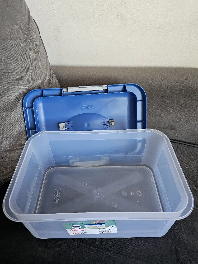 Sterilite Show-offs Medium Storage Container Box, Blue image indicator(3)