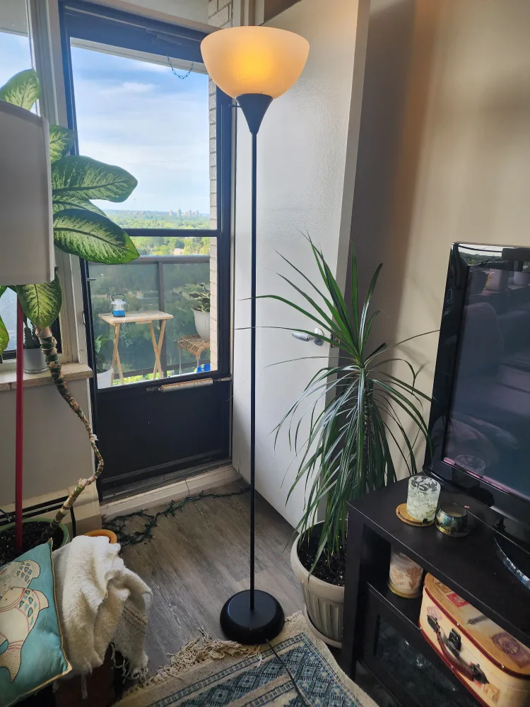 Black Floor Lamp thumbnail