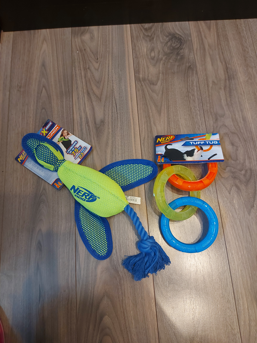Nerf Dog Toys - New
