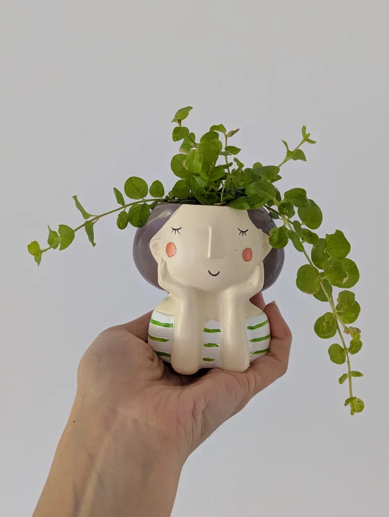 Cute Girl Face Planter with creepy jenny plant inside thumbnail