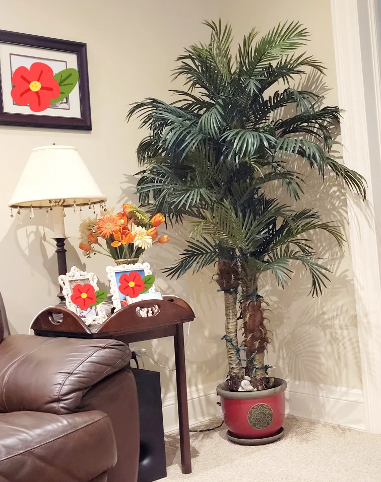 70" x 40" Indoor Palm Tree with Red Pot thumbnail