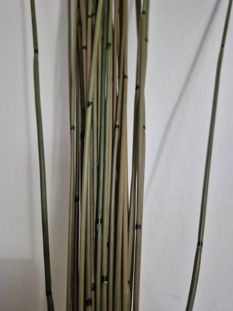 Decorative Bamboo Stalks image indicator(2)