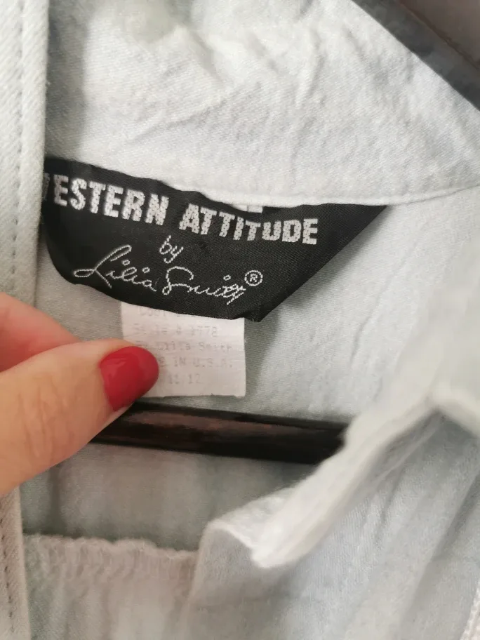 Western Attitude by Lilia Swig Dress Size 11/12 image indicator(4)