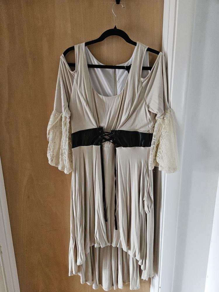 Hot Topic Cream Lace Sleeve Dress - photo 3