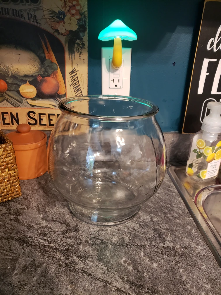 Glass Fishbowl Vase