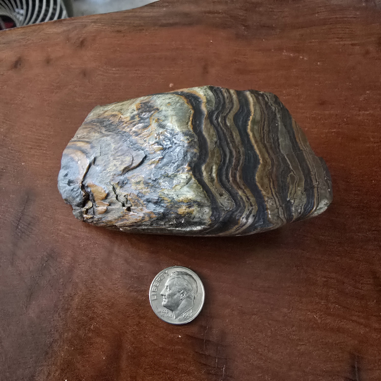 Banded iron Tiger Iron magnetic.