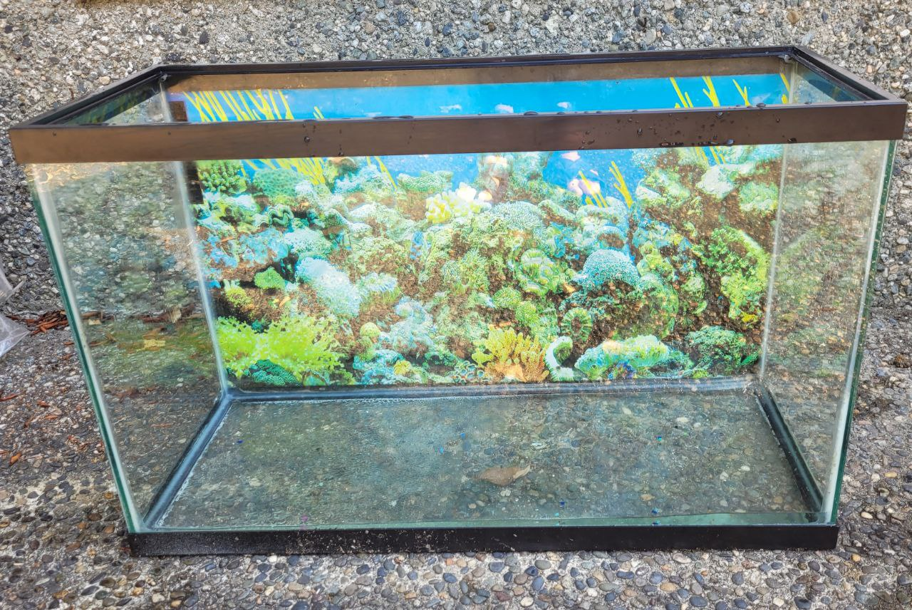 30 gallon aquarium
