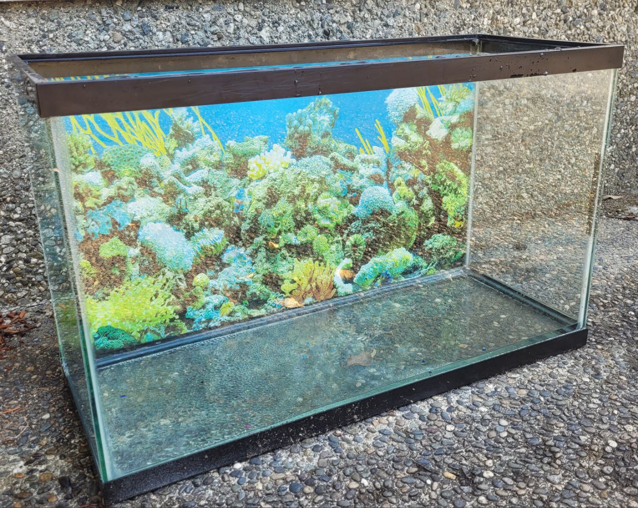 30 gallon aquarium - photo 3
