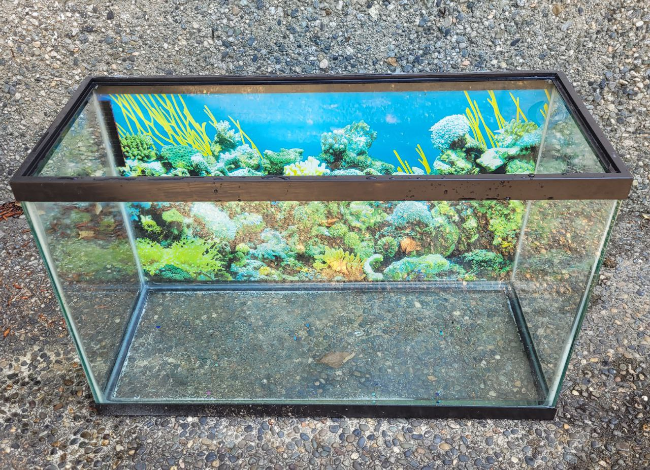30 gallon aquarium - photo 4