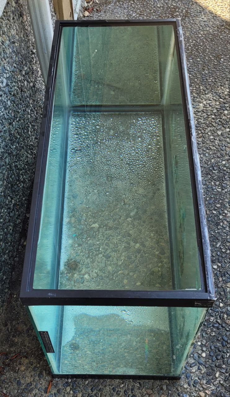 30 gallon aquarium - photo 5
