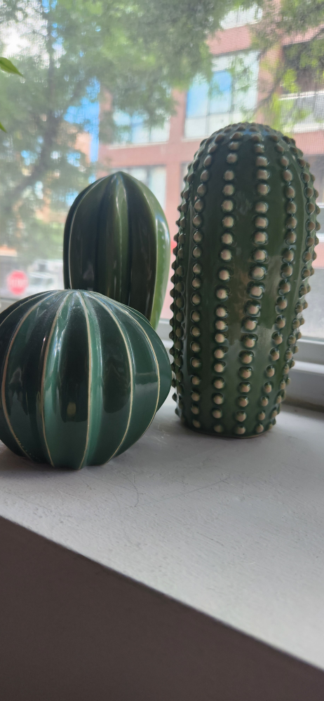 Set of 3 Ceramic Cactus