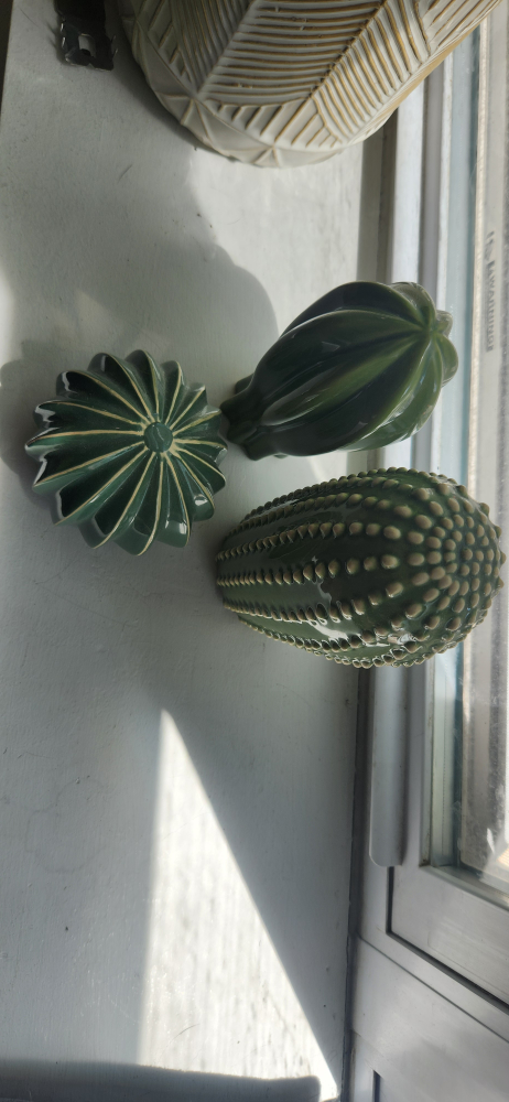 Set of 3 Ceramic Cactus - photo 2