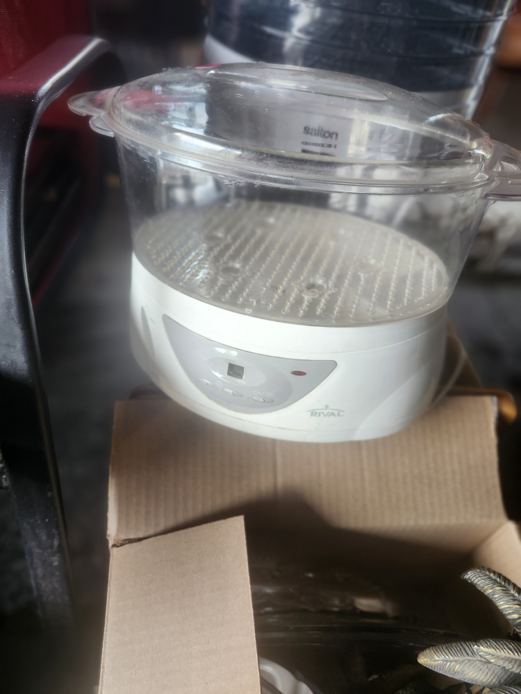 Salton Food Steamer with Rival Base