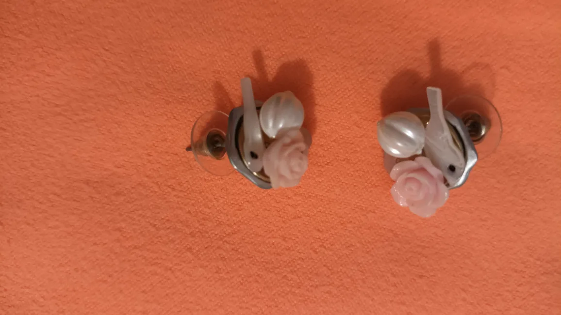 Assorted Earrings image indicator(2)