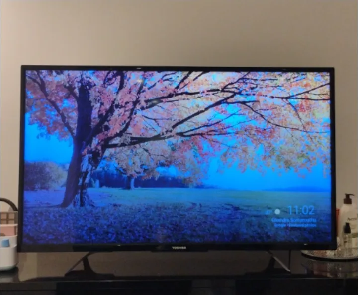 Toshiba Flat Screen TV image indicator(2)