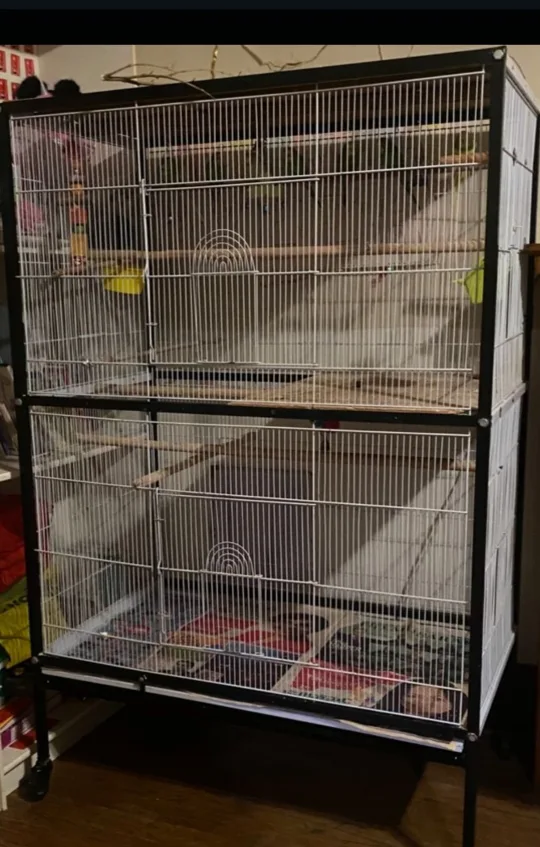 flight cage $300 obo thumbnail