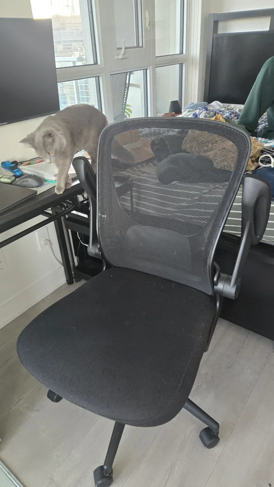 Black Office Chair thumbnail
