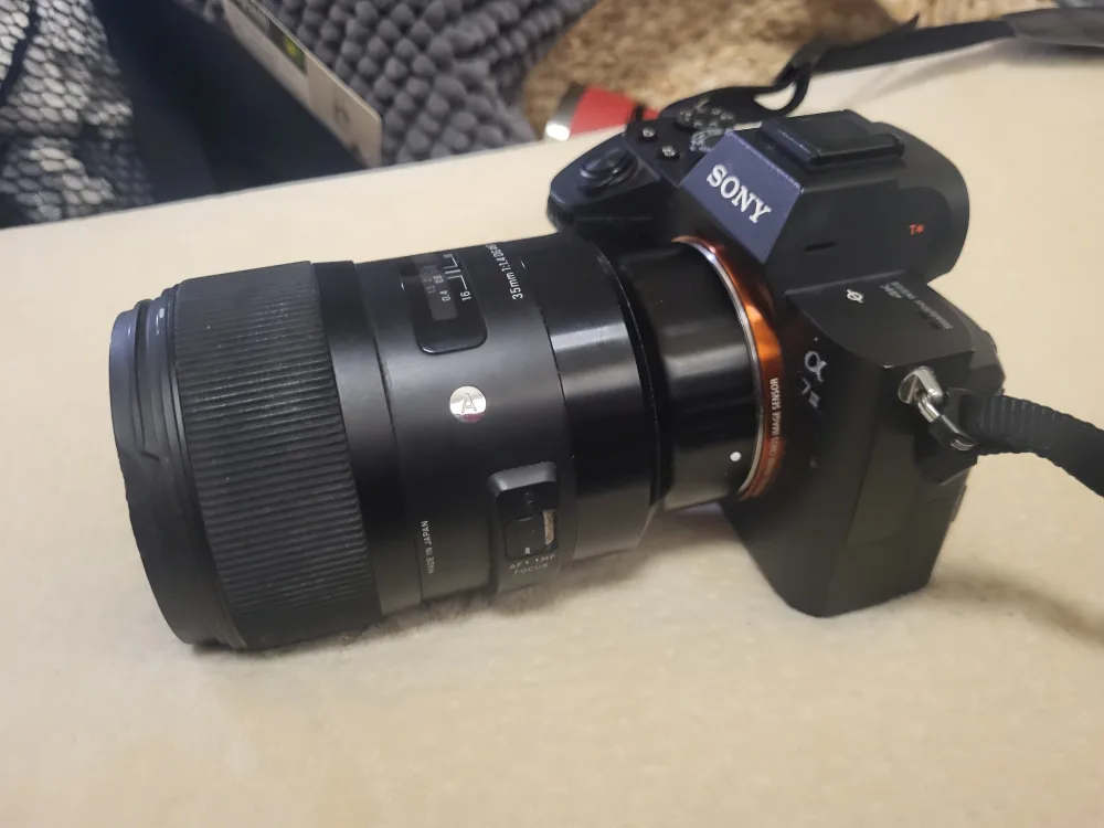 Sony Alpha 7 III Camera Body and lens image indicator(2)