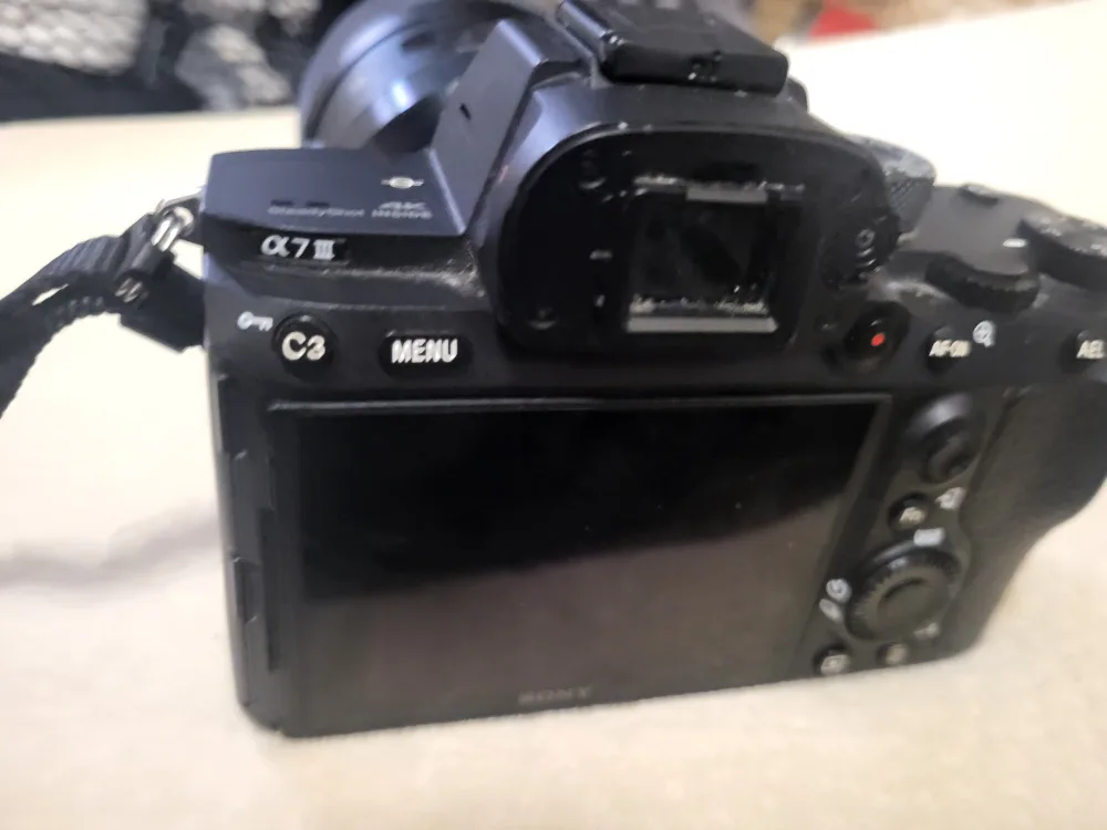 Sony Alpha 7 III Camera Body and lens image indicator(3)