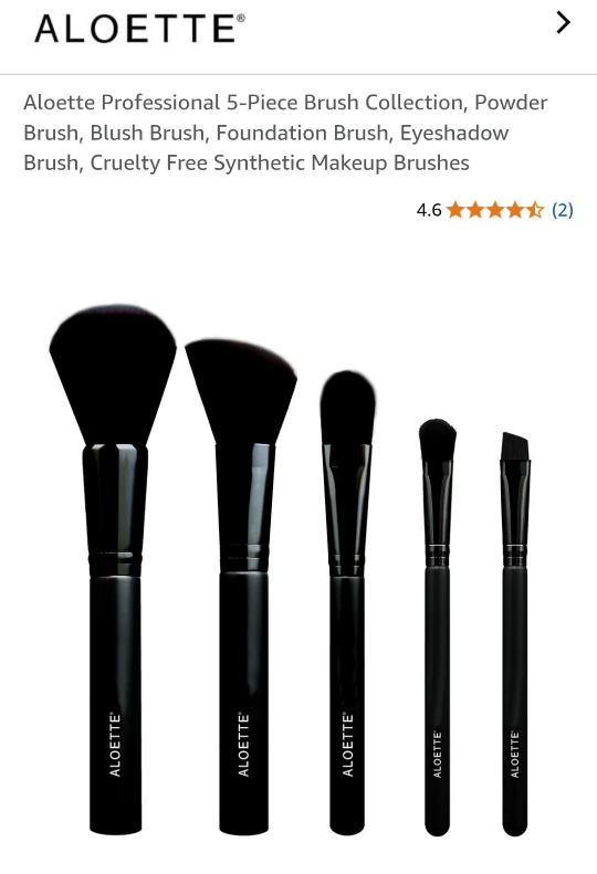 Aloette Pro Tools 5-Piece Brush Collection