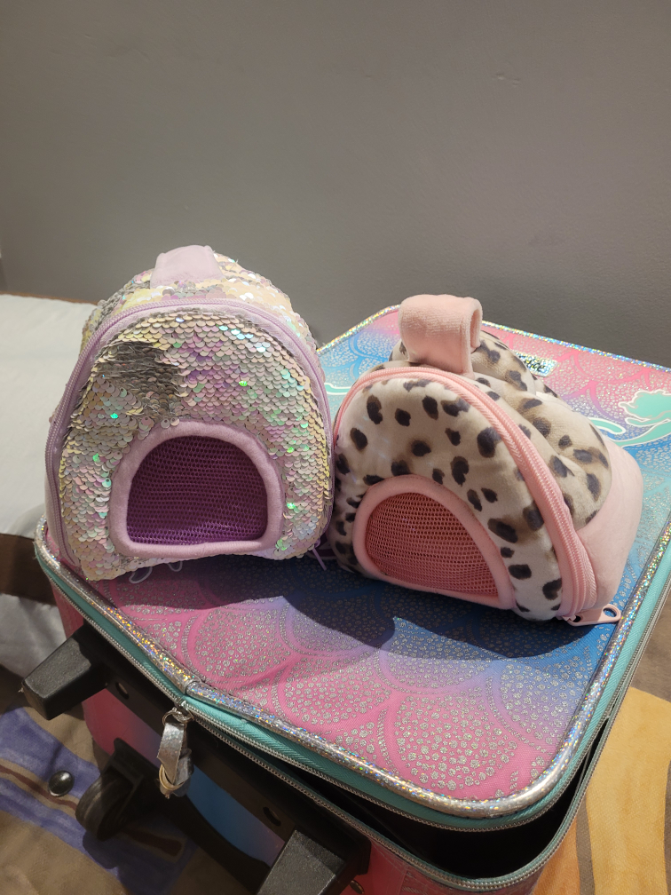 free Small Pet Carrier Backpacks