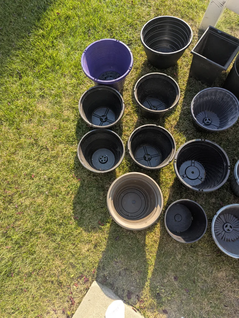 23 plastic flower pots $20obo need cleaning image indicator(7)