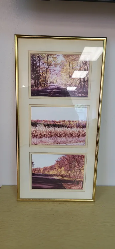 Framed Nature Art Print