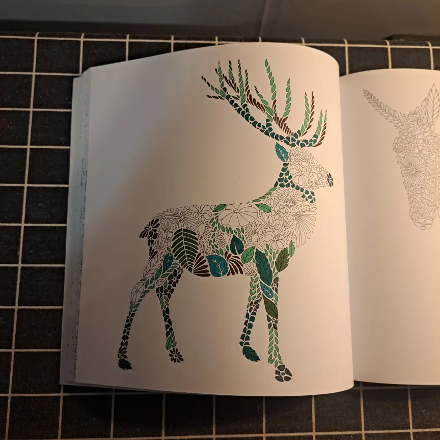 Animal Kingdom Colouring Book by Millie Marotta image indicator(8)