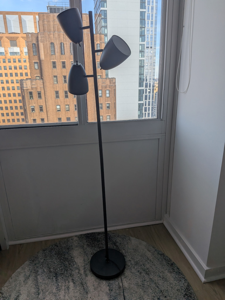 Modern Black Floor Lamp
