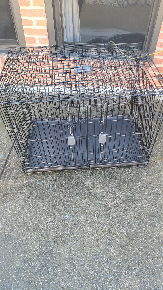 large dog house