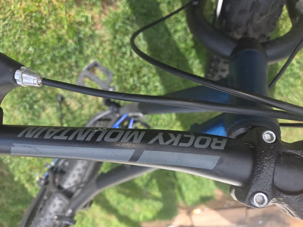 Rocky Mountain Fat Bike image indicator(6)