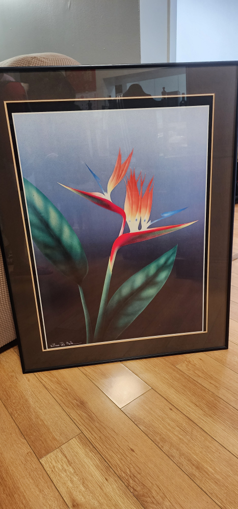 Framed Bird of Paradise Print