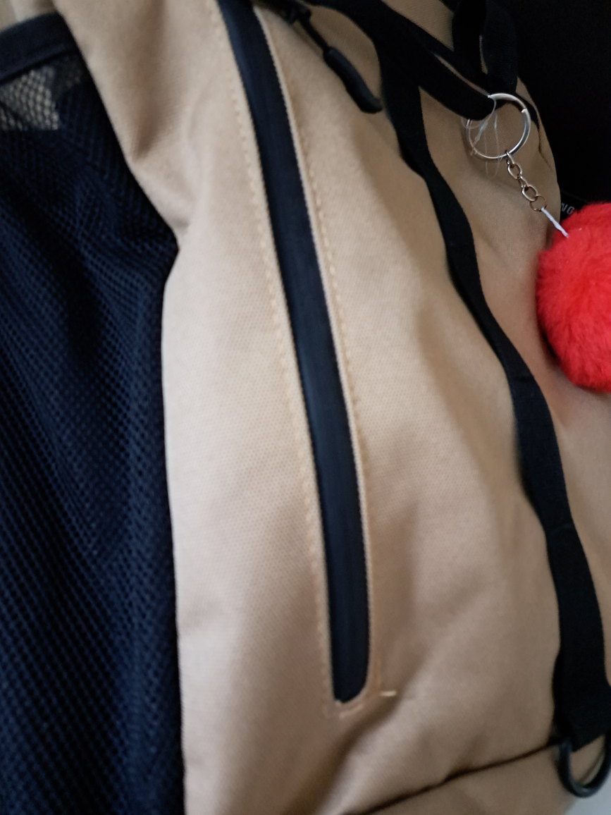 Roots Beige & Black Backpack - photo 2