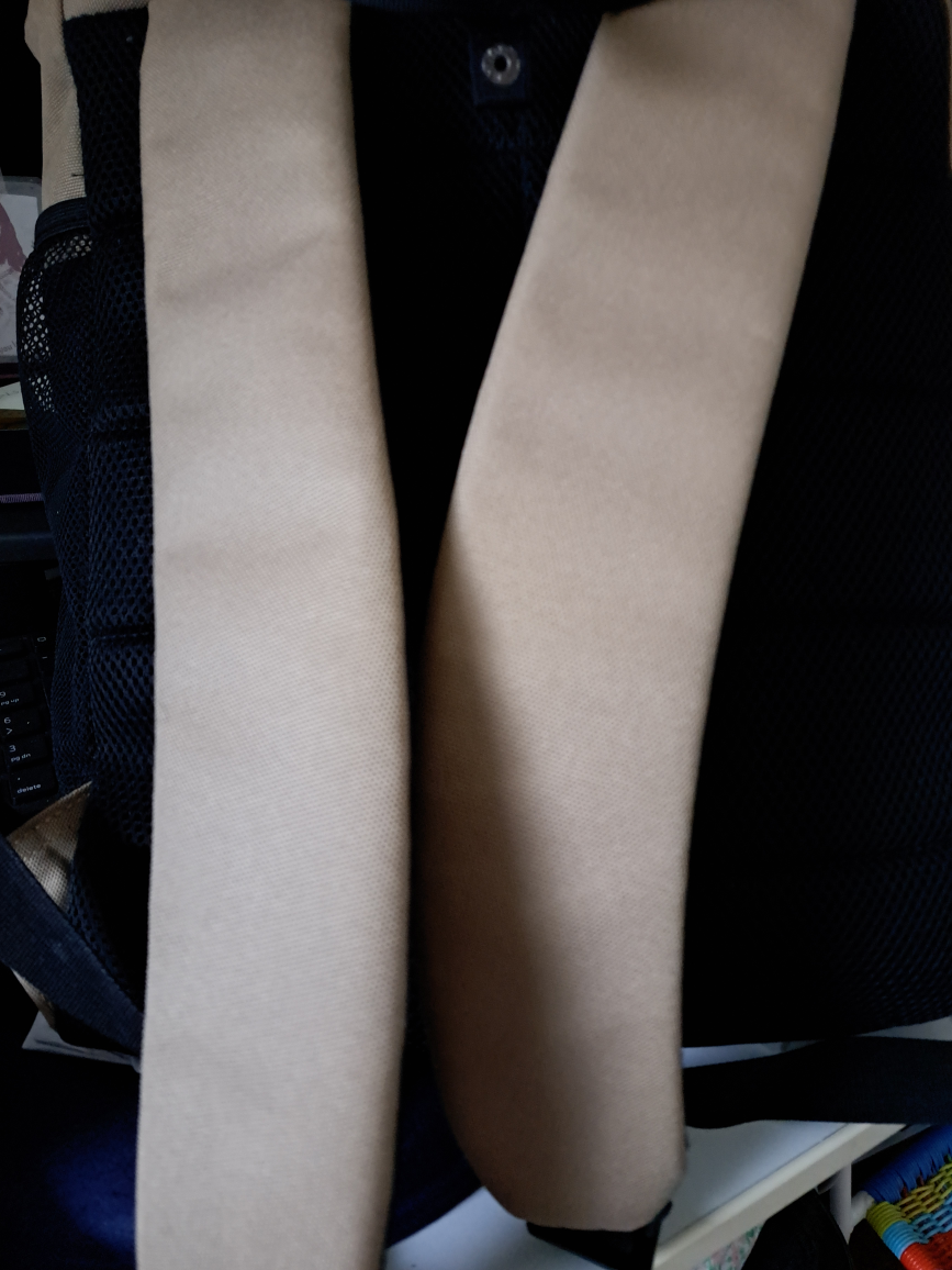 Roots Beige & Black Backpack - photo 3
