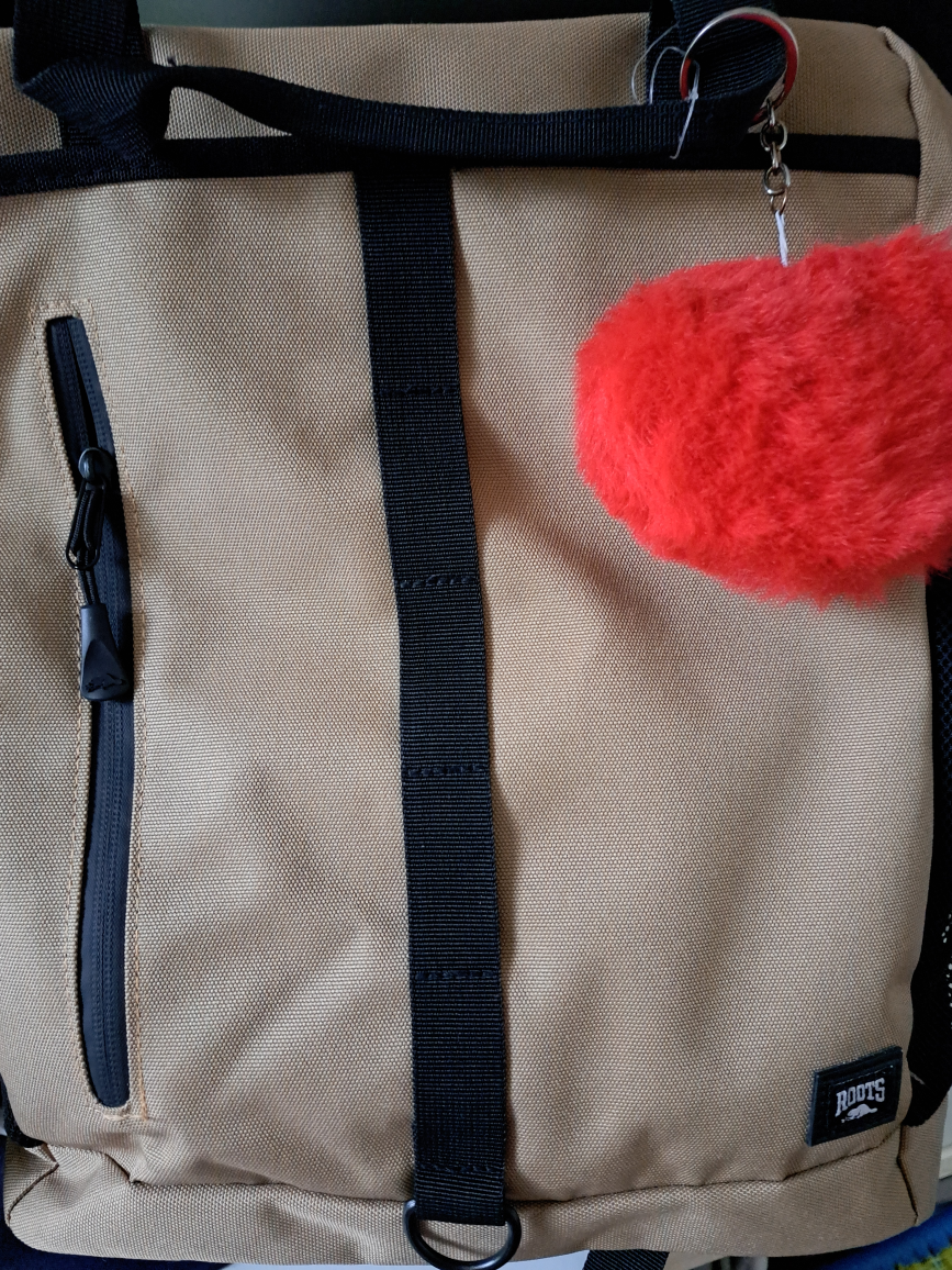 Roots Beige & Black Backpack - photo 5
