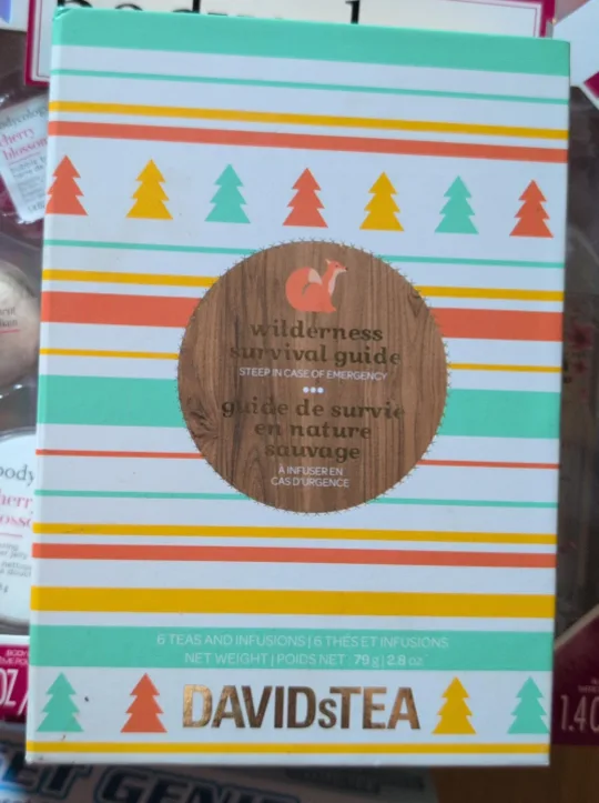 DAVIDsTEA Wilderness Survival Guide Tea Set thumbnail