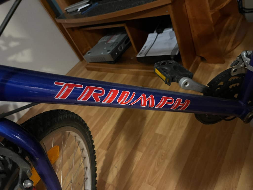 Triumph Mountain Bike - Blue - photo 2