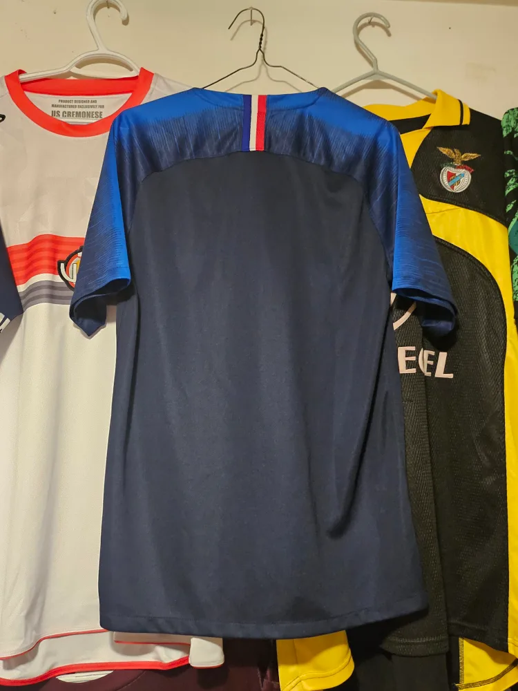 France Nike 2018 world cup soccer jersey image indicator(2)
