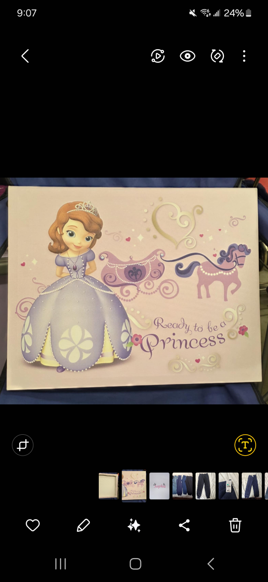 Sofia the First  Canvas Art
