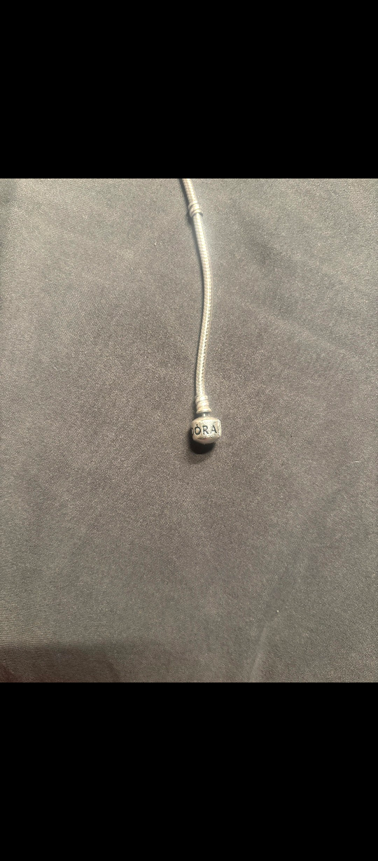 Pandora Silver Charm Bracelet 🧡 - photo 2