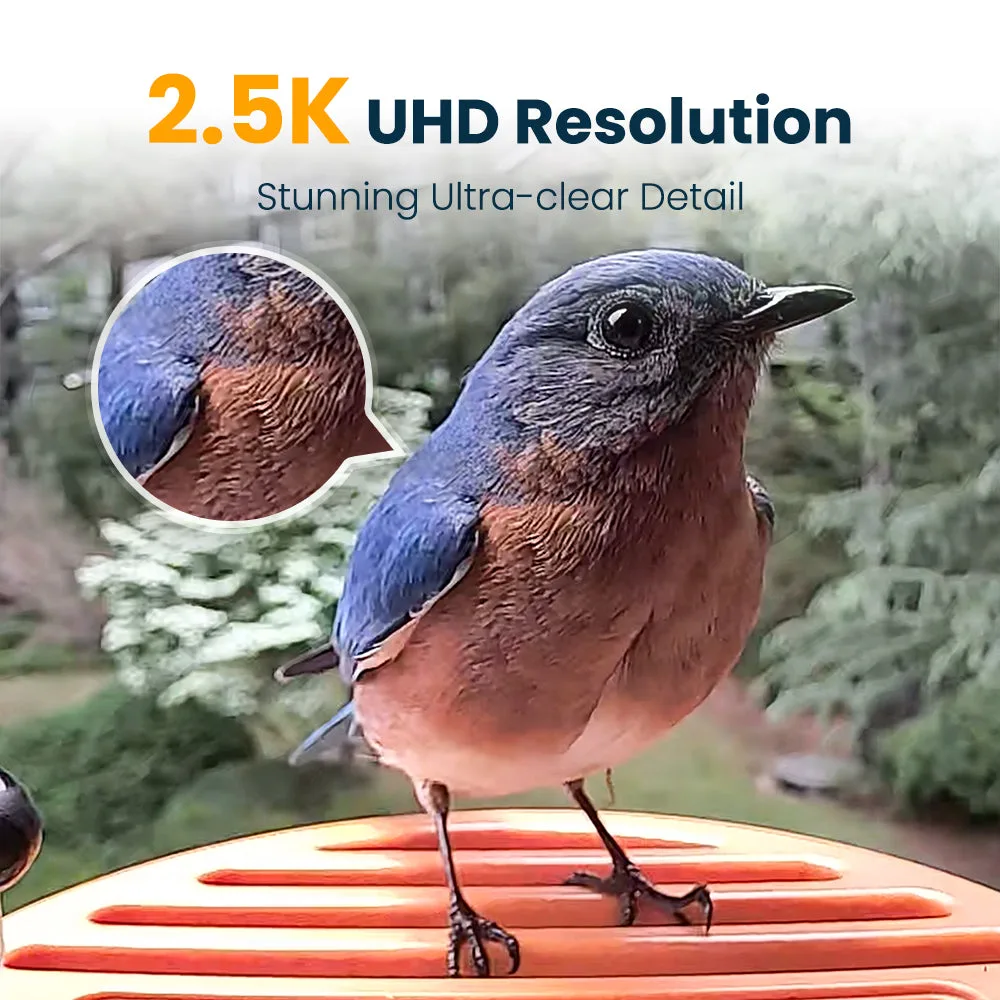 Vinguys Smart Bird Feeder Camera image indicator(3)