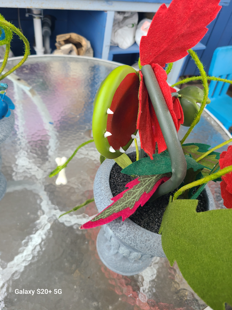 Unique Decorative Plant Arrangement - photo 3