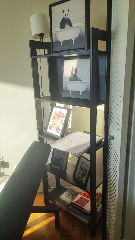 Ladder Shelf - Black