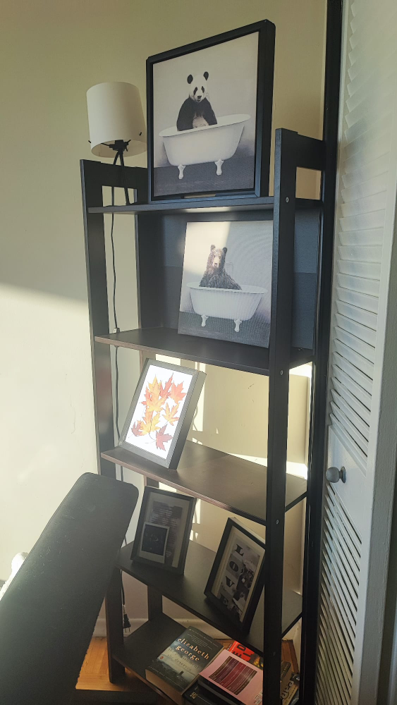 Ladder Shelf - Black - photo 2