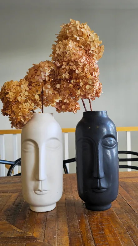 Face Vases - White and Black image indicator(2)