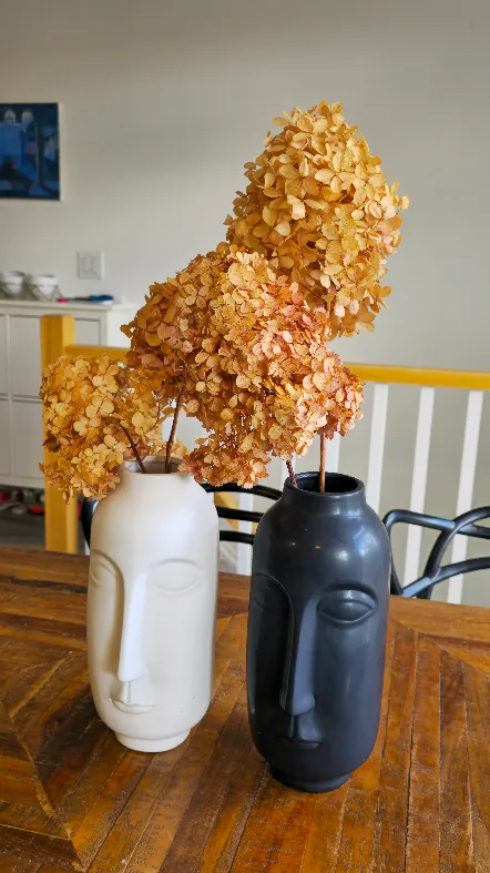 Face Vases - White and Black image indicator(3)