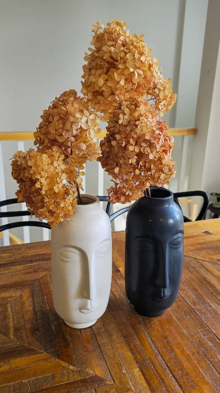 Face Vases - White and Black image indicator(4)