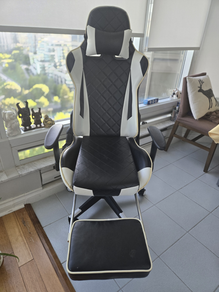 Gaming Chair ( Black and white)